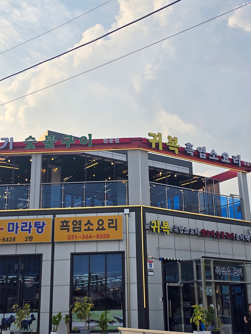 귀복 사진 2