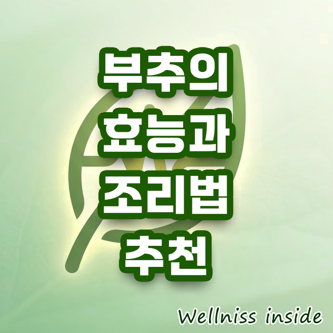 부추의 효능과 올바른 조리법 3가지