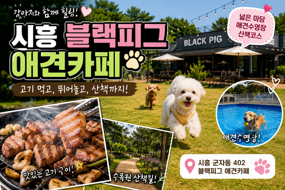 블랙피그 시흥 애견카페 사진 1