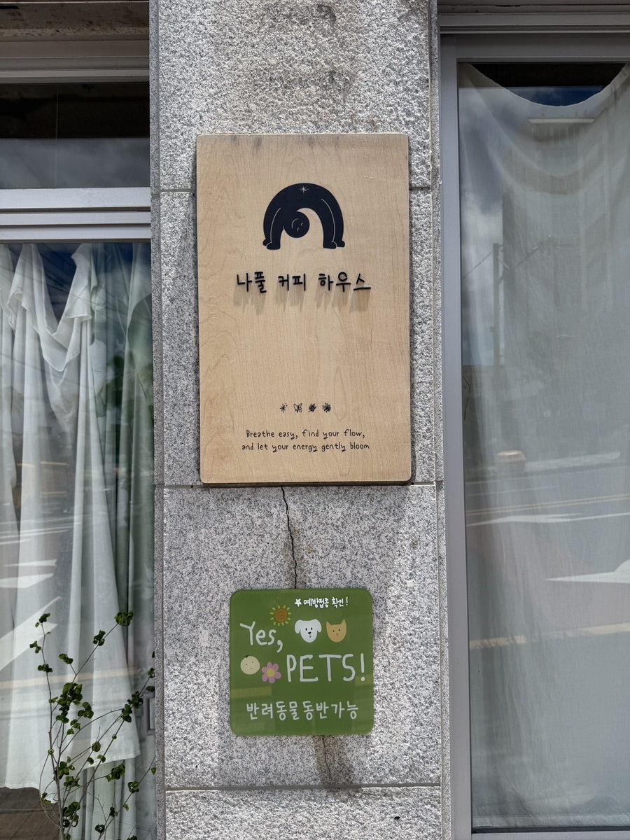 나풀 사진 3