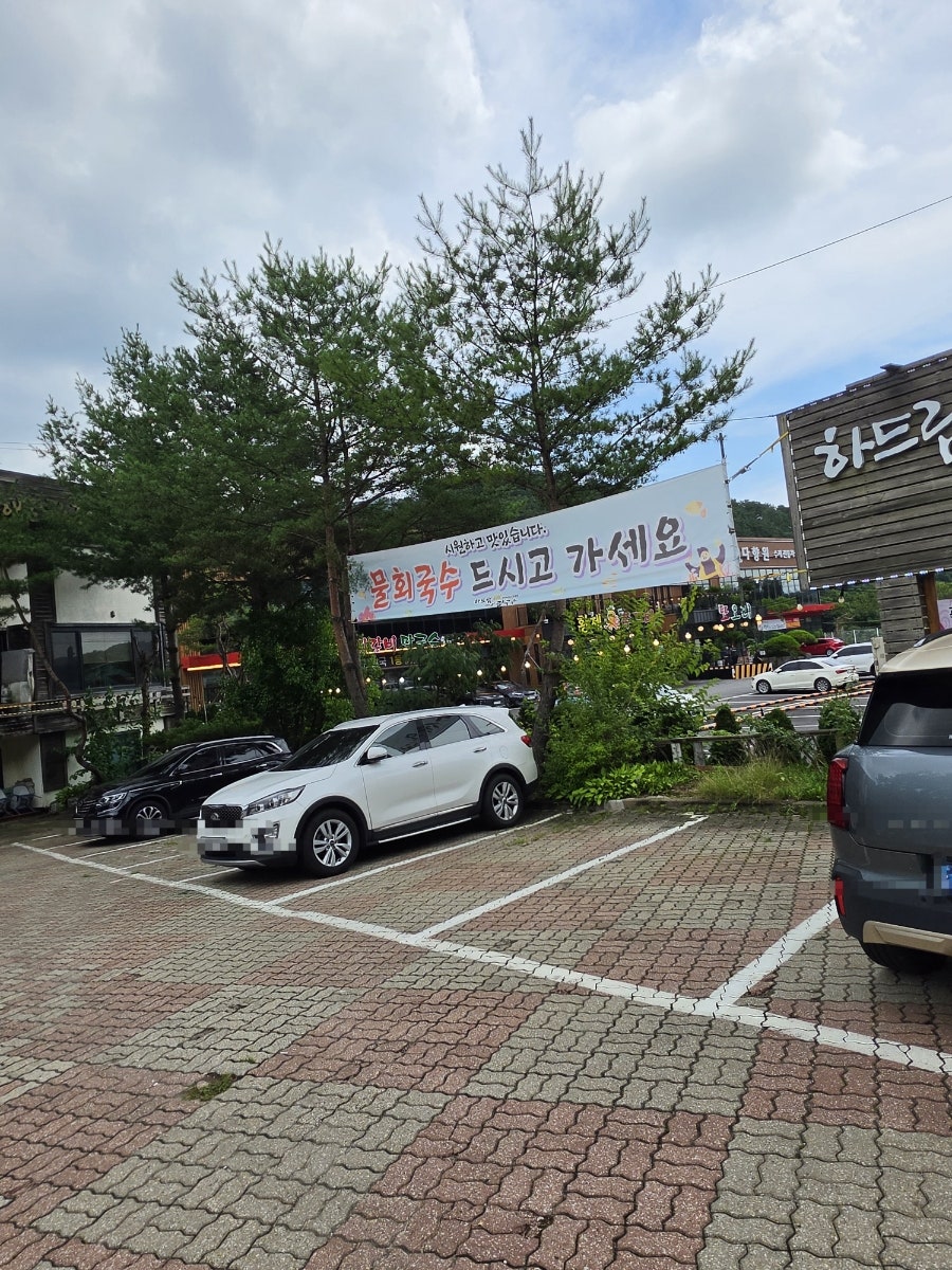 하드림해물칼국수 사진 3