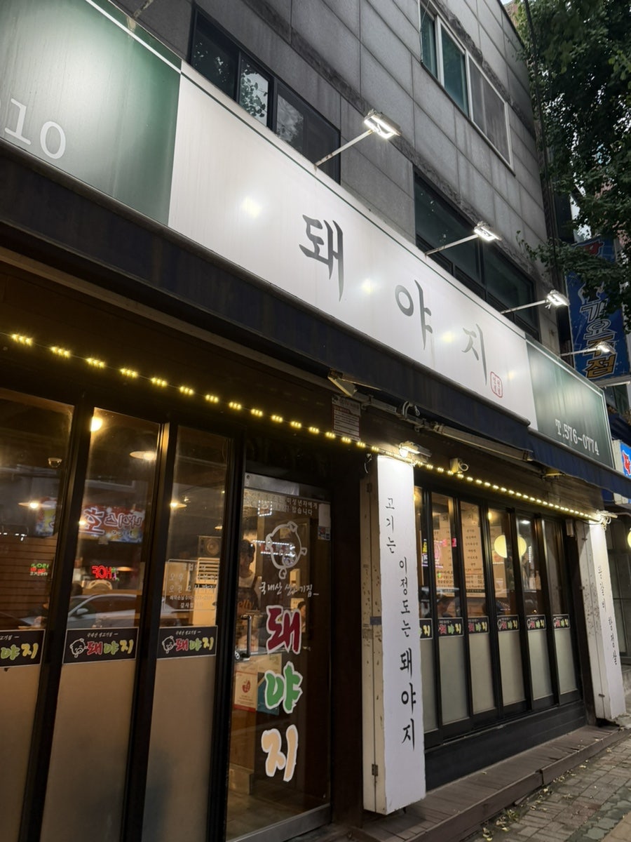 돼야지 사진 1