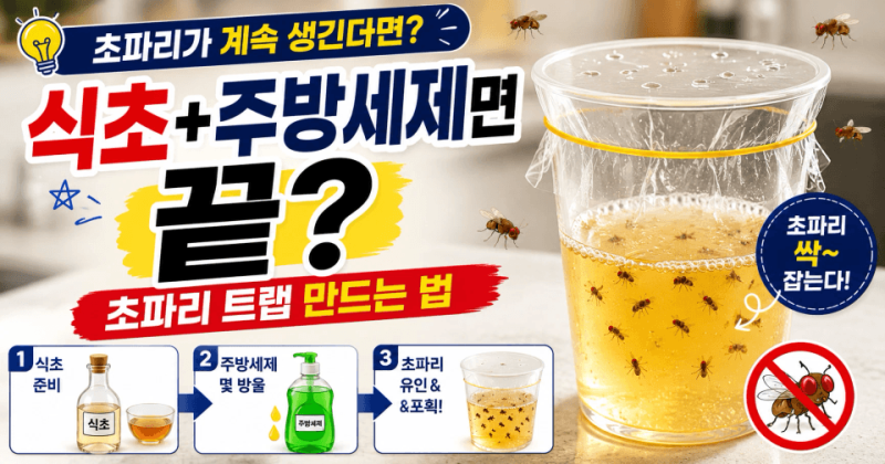 초파리 트랩 | 식초 주방세제로 초파리 없애는 법