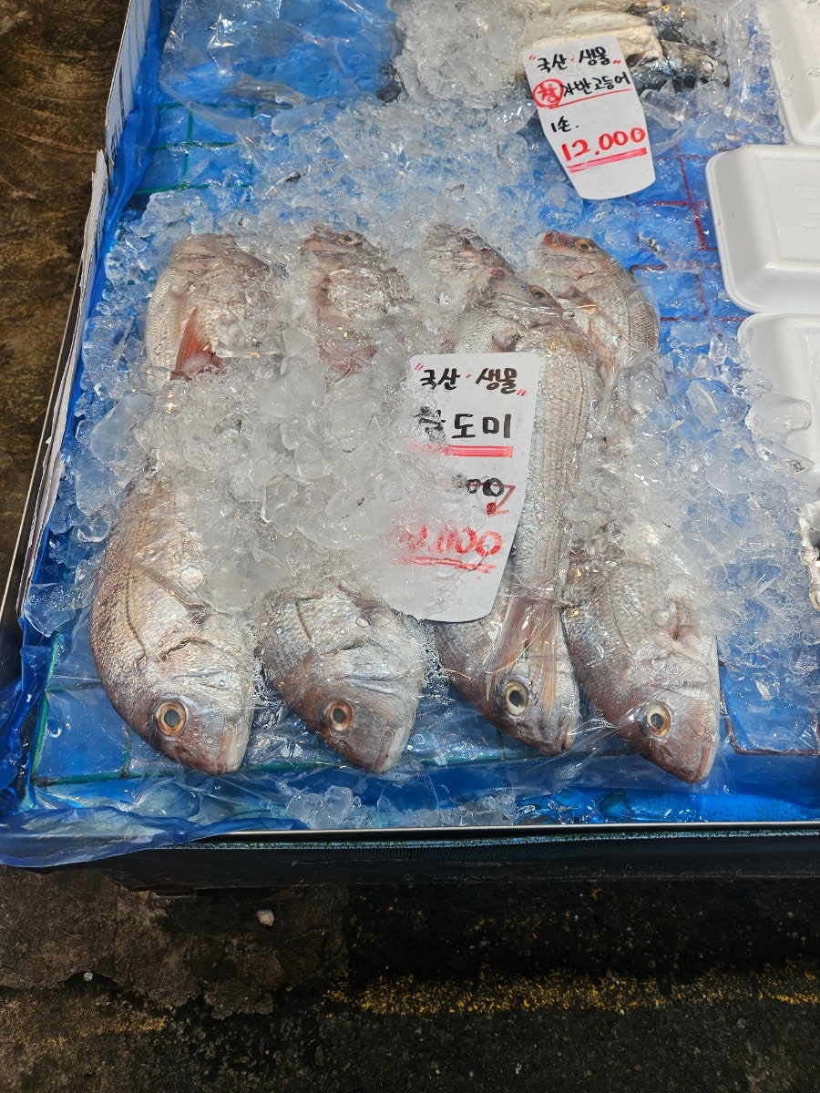 제일수산 사진 2