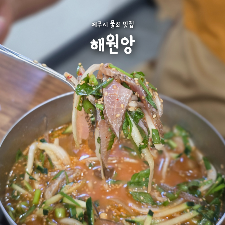 제주시 물회 맛집 해원앙, 제주 자리물회 도민 맛집 추천!
