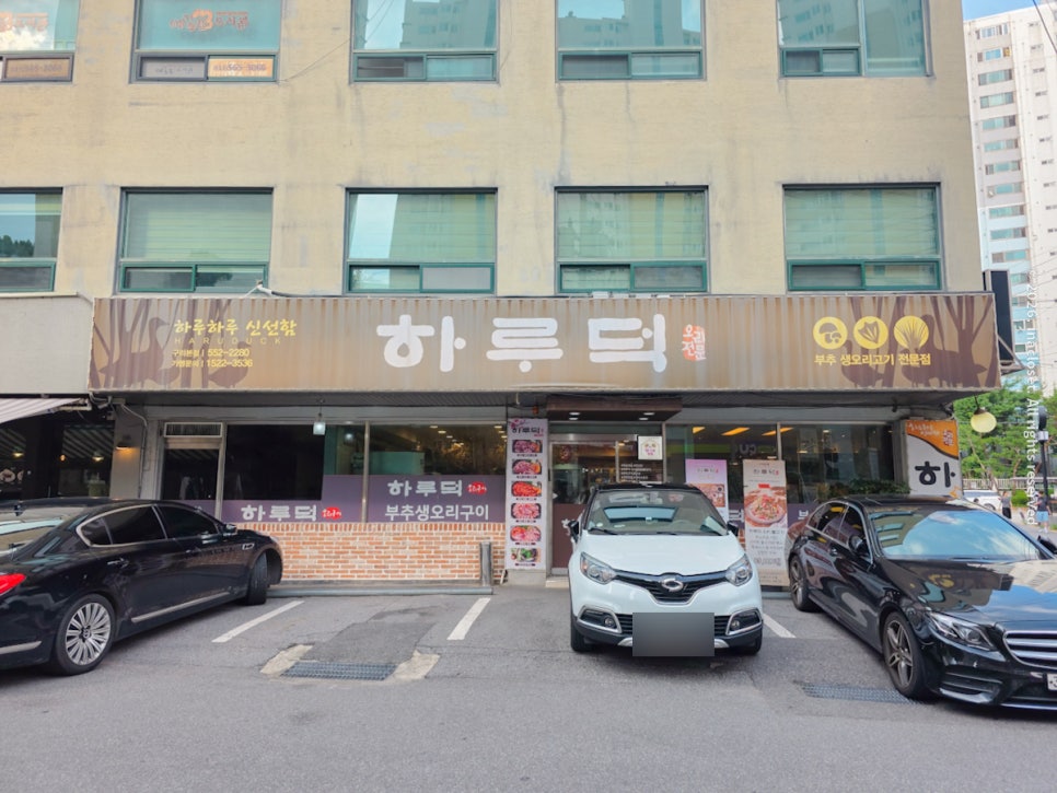 하루덕 사진 2