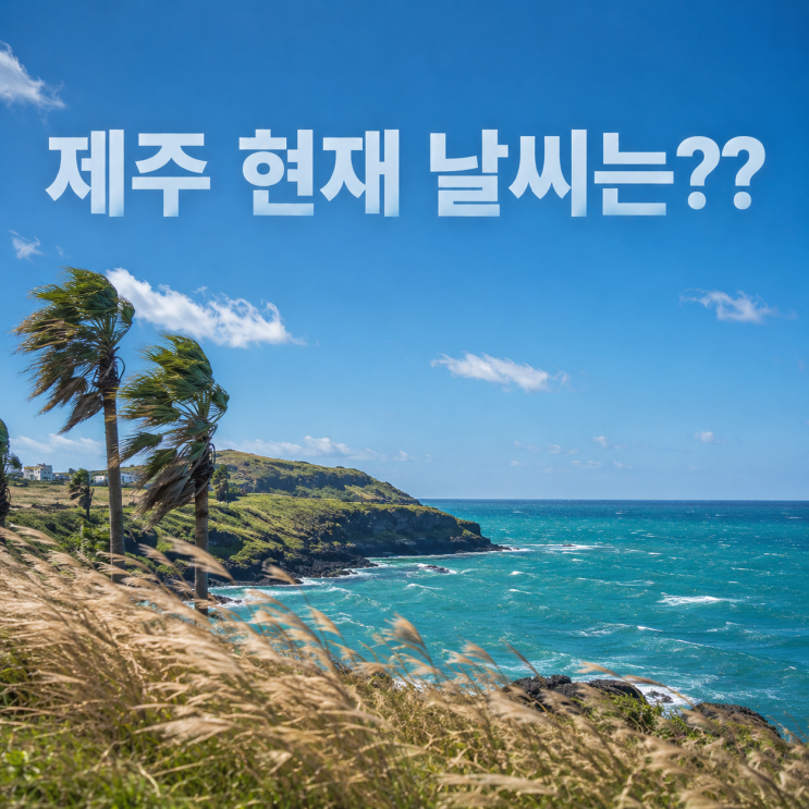 제주 실시간 날씨 이게 바람이야? <b>태풍</b>이야? 지금 현재상황