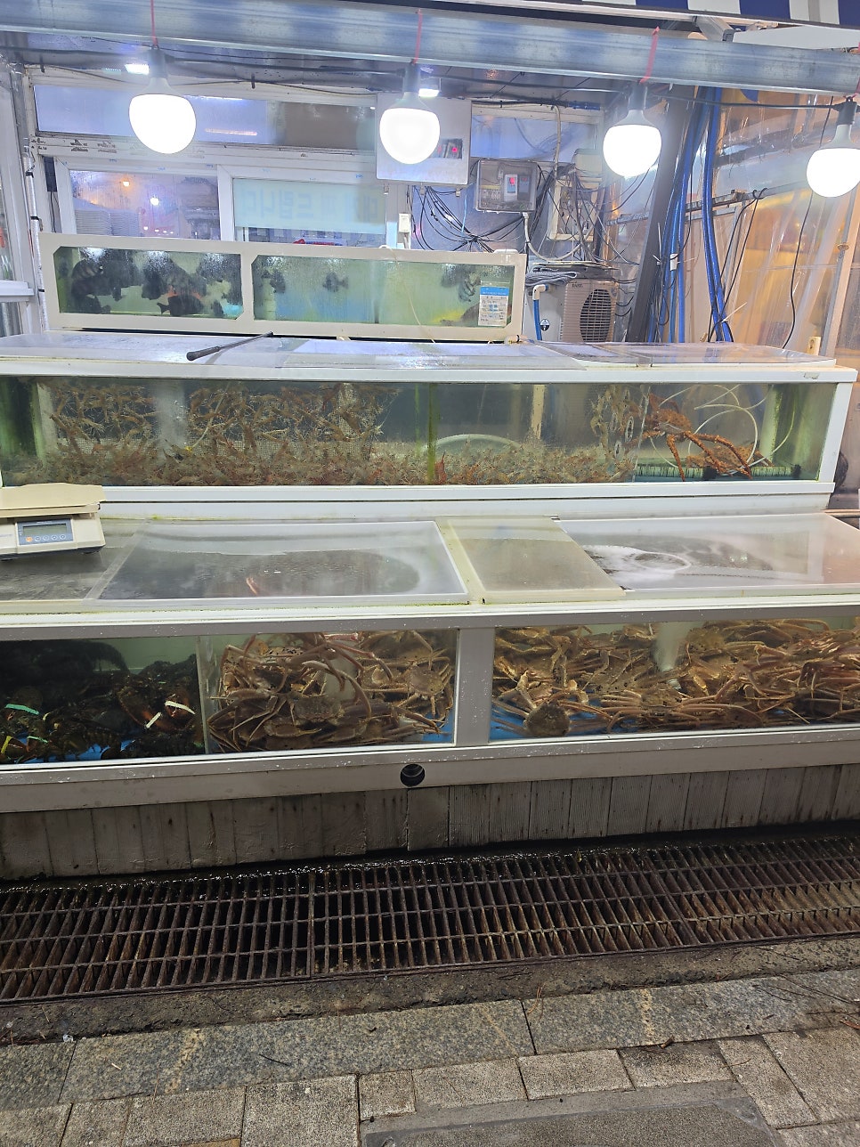 동해초장집 사진 4