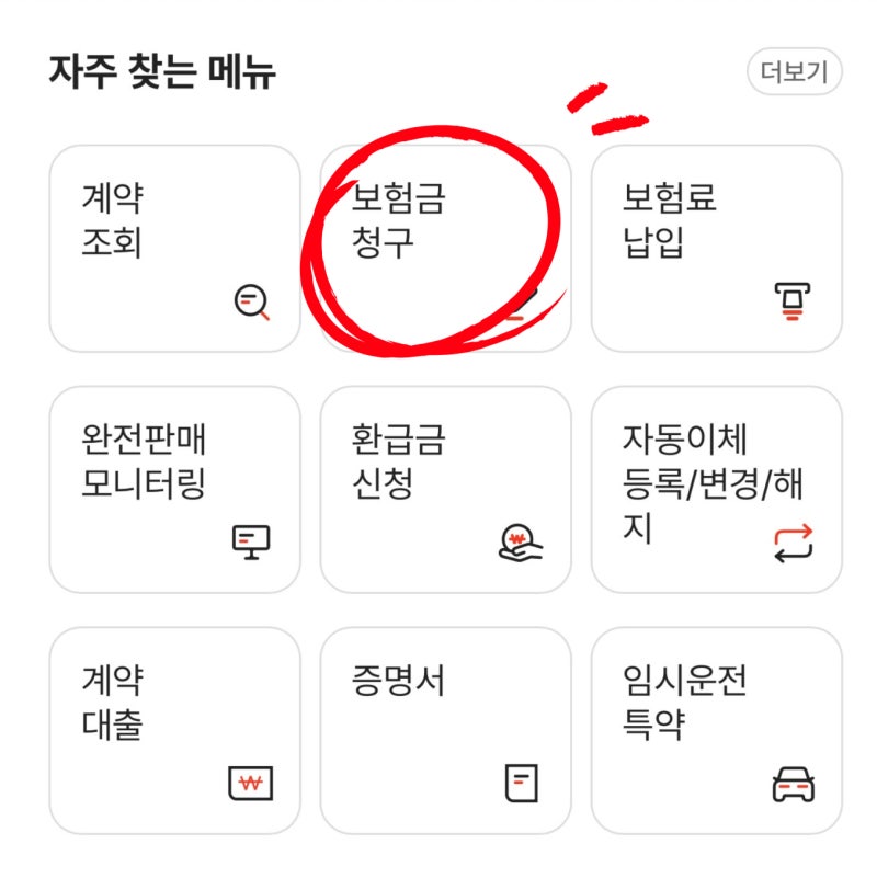 메리츠화재 펫보험 펫퍼민트 보험금 청구 후기｜강아지 알레르기 치료비 보장받은 실제 경....