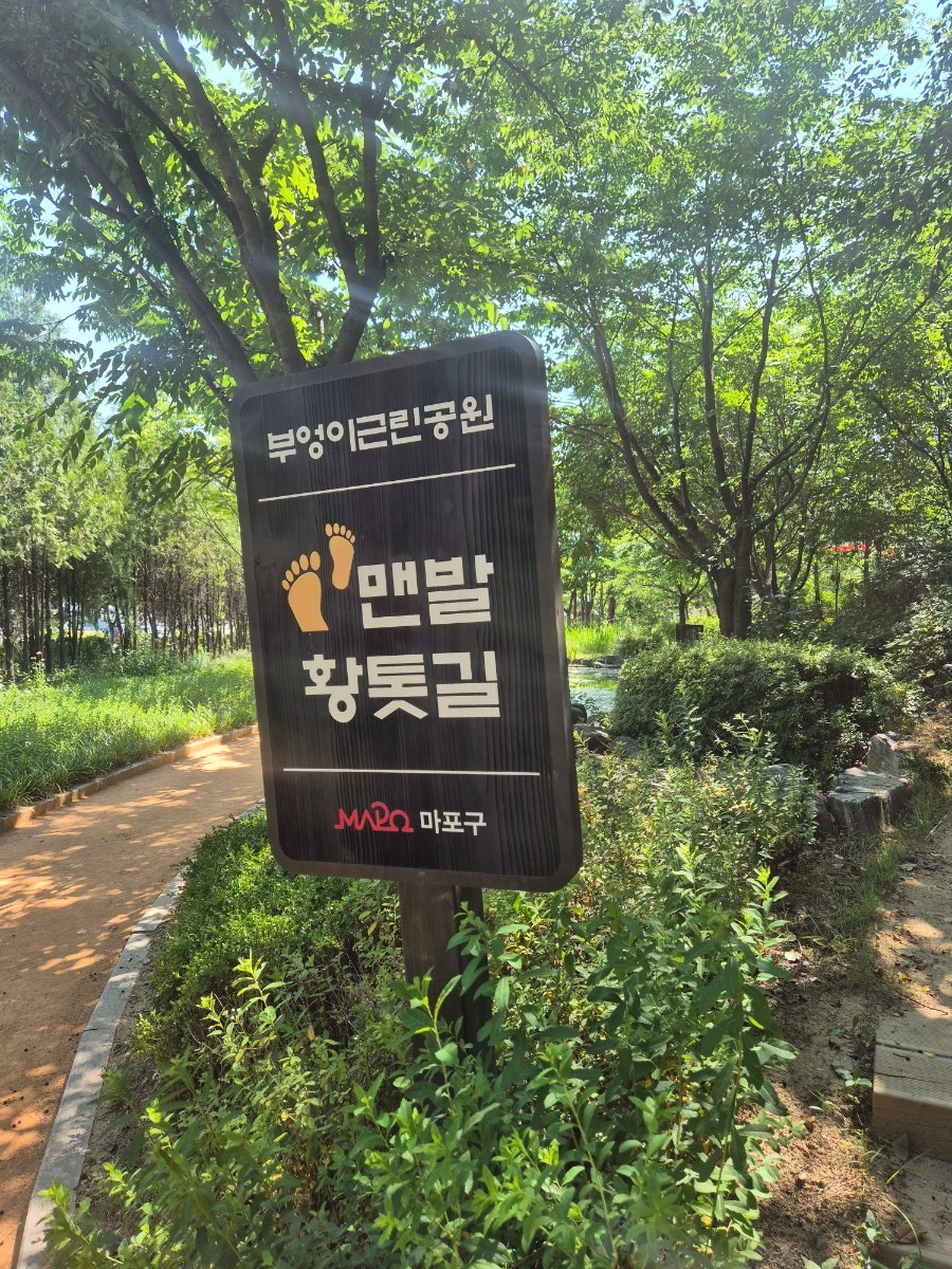 황톳길 사진 3