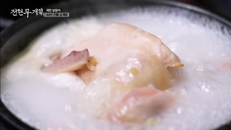 에버그린 사진 2