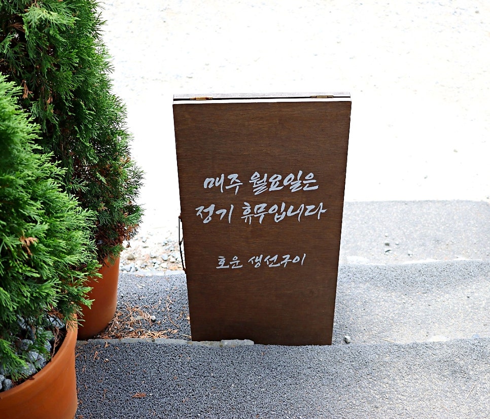 호운 사진 5