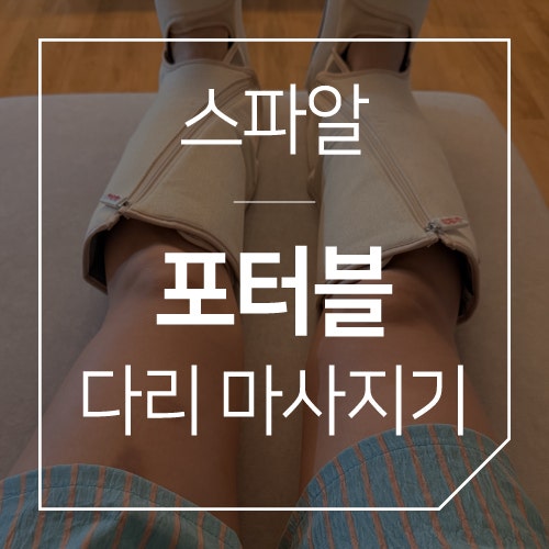 마사지기기 추천::추성훈 스파알 포터블 다리 마사지기 PRO V2(feat. 인선이의 집들이 선물)