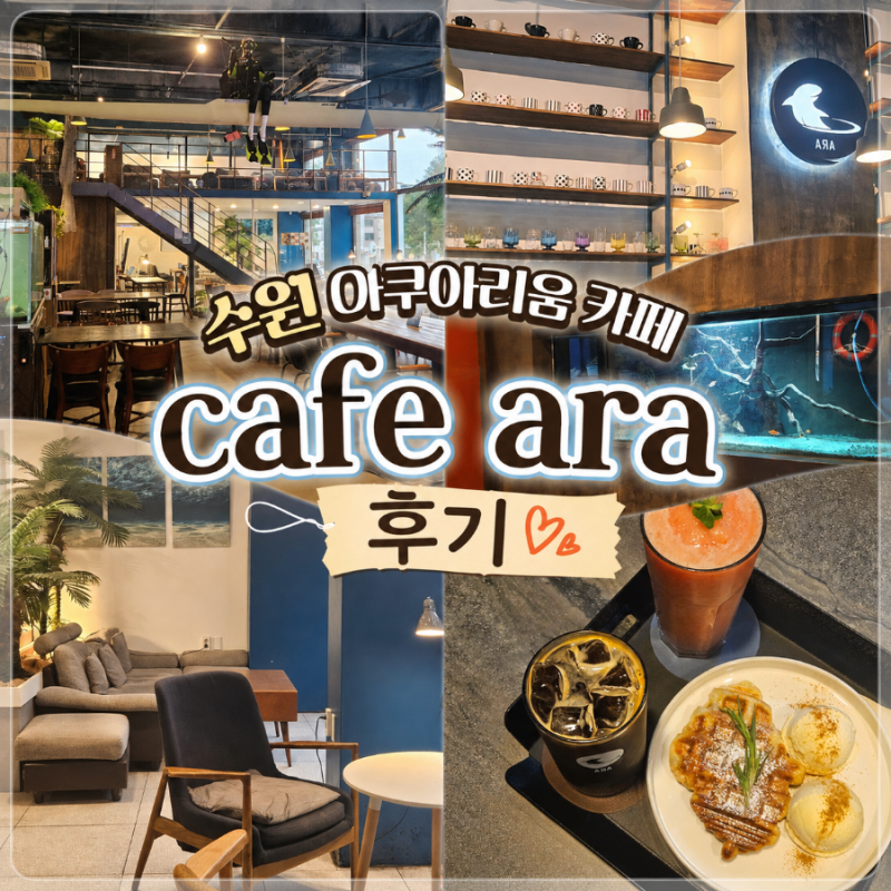 영통 데이트 130평 대형카페 경희대 카페 수원 아쿠아리움 카페아라 영통본점