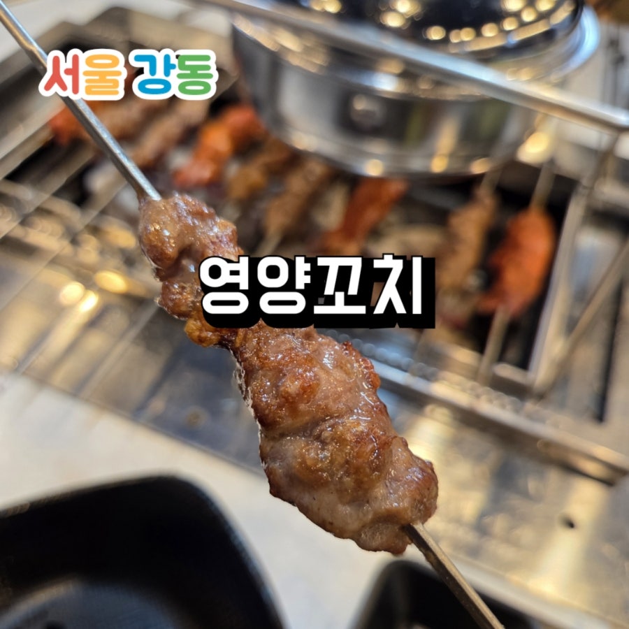 영양꼬치 사진 1