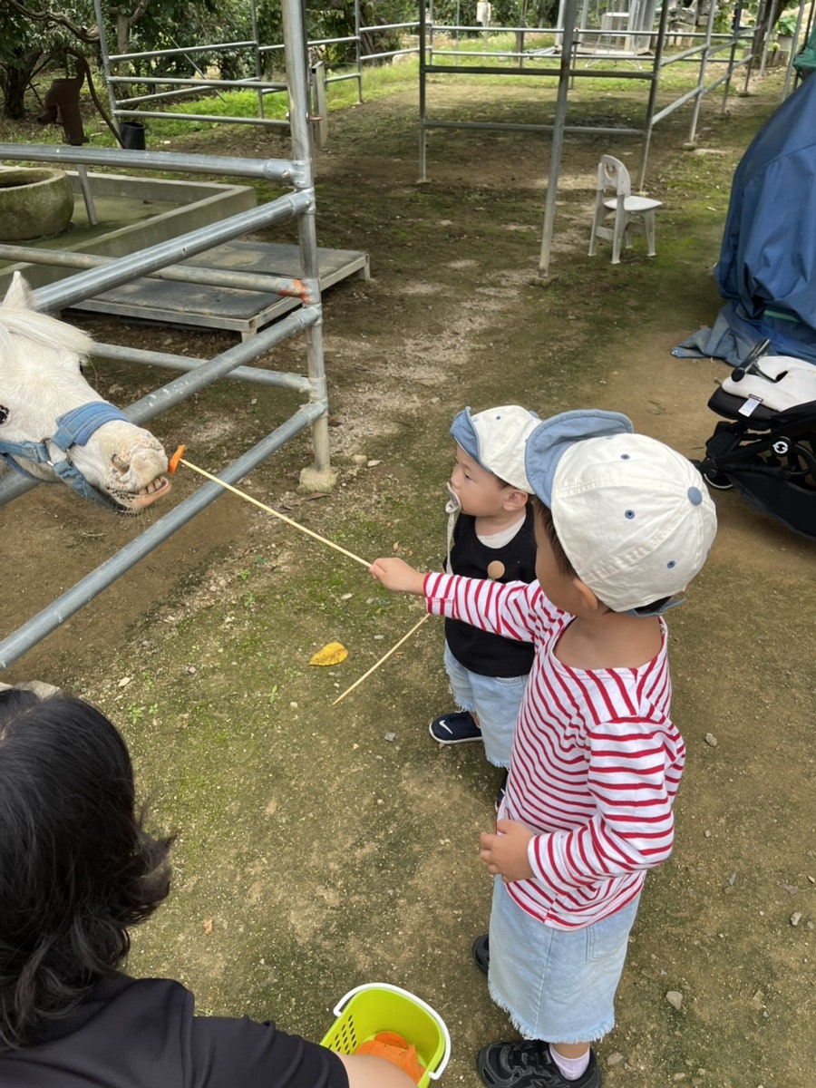 힐링공유팜 사진 6