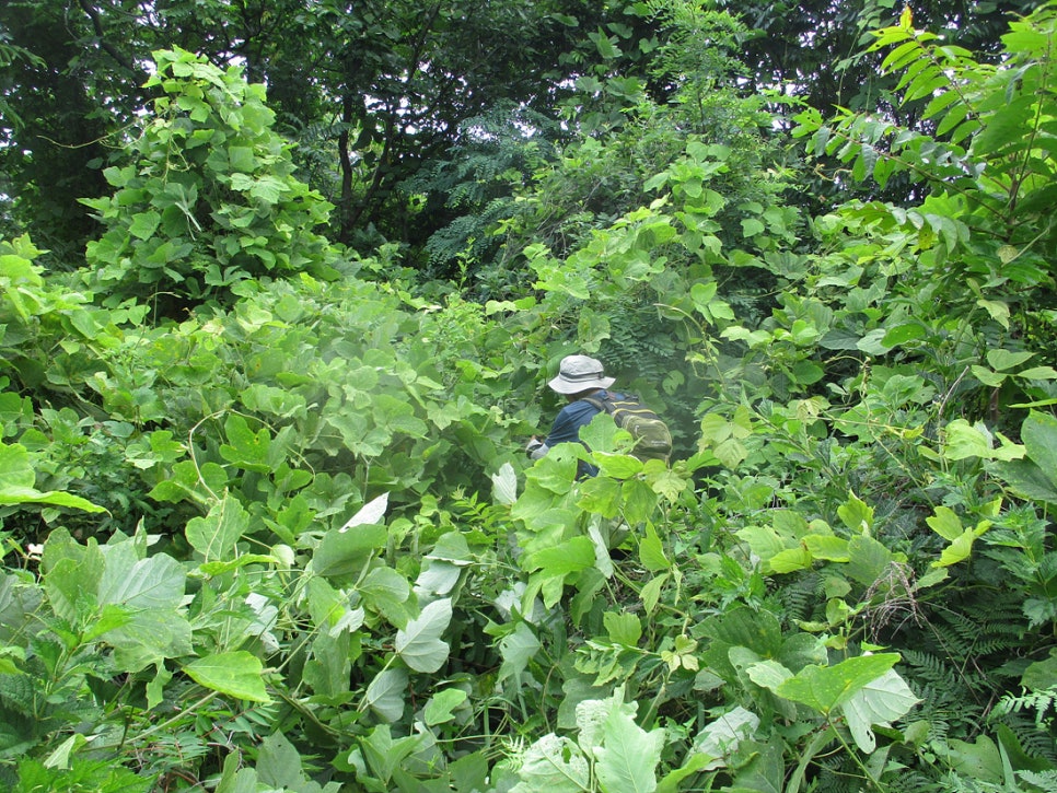 Hwajangsan photo 2