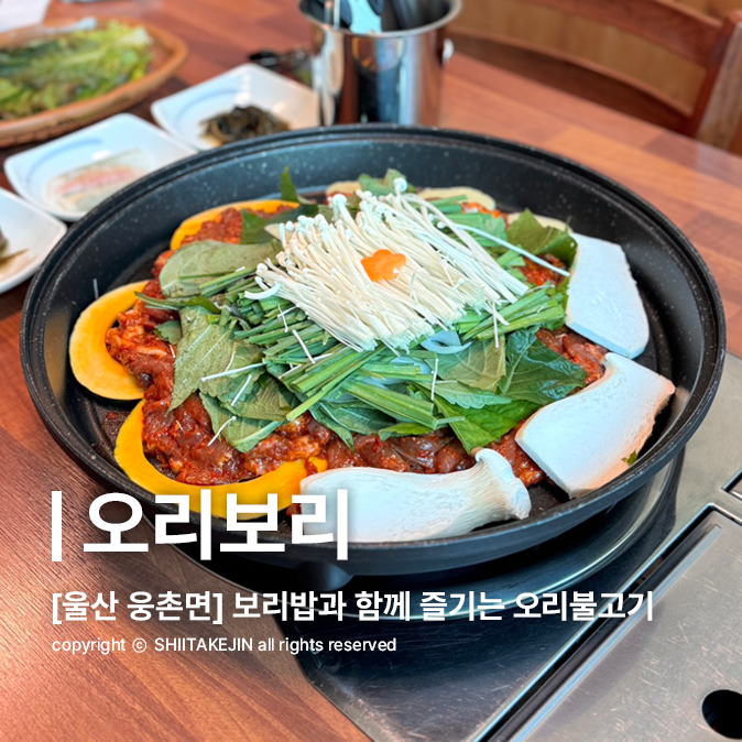 웅촌오리보리 사진 1