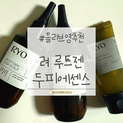 올리브 사진 1