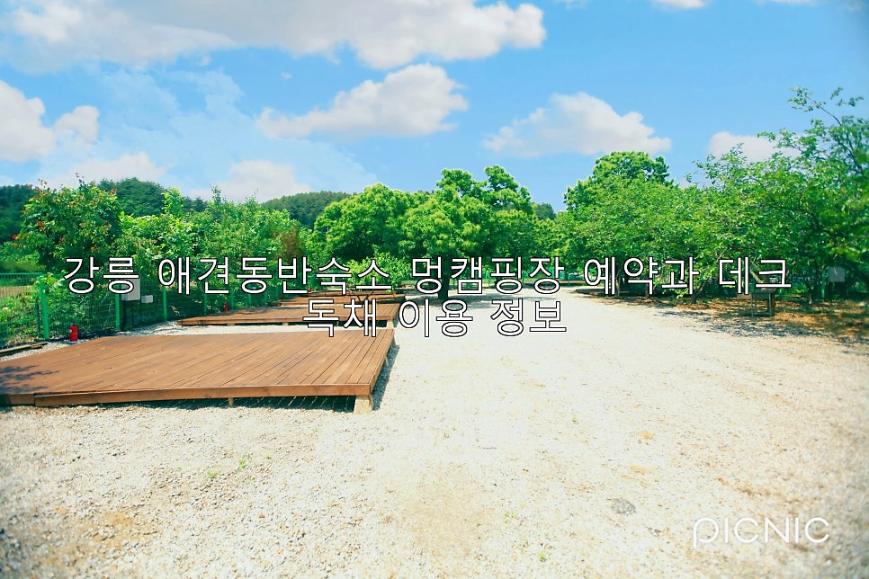 멍캠핑장
