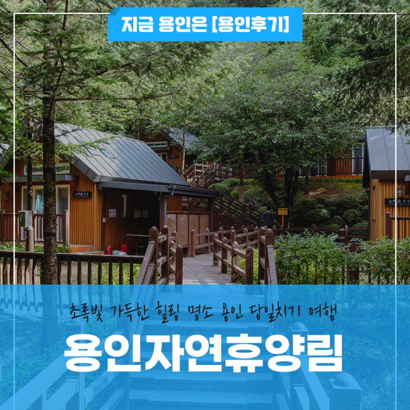 초록빛 가득한 힐링 명소, 당일치기로 딱 좋은 ‘용인자연휴양림’