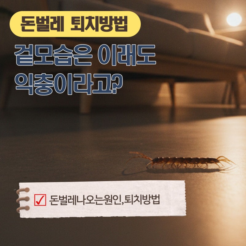 겉모습은 이래도 익충이라고?집에 돈벌레 나오는 이유와 퇴치방법