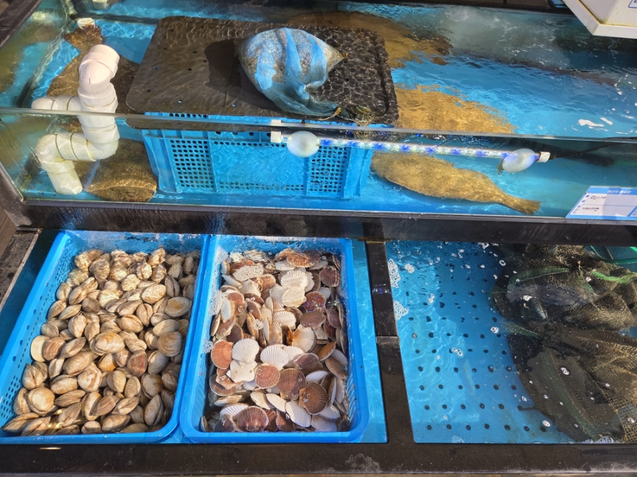 조개뷰 해운대본점 사진 3