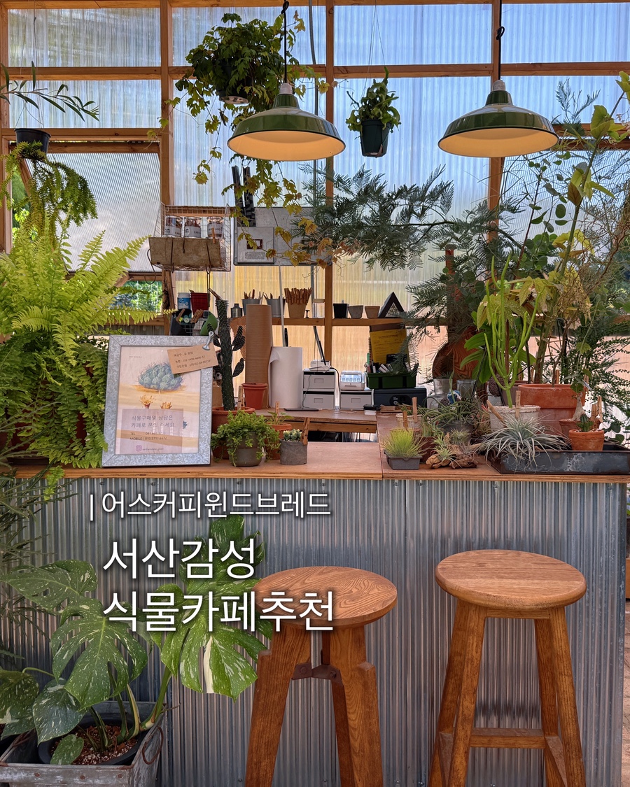 어스커피윈드브레드 사진 1