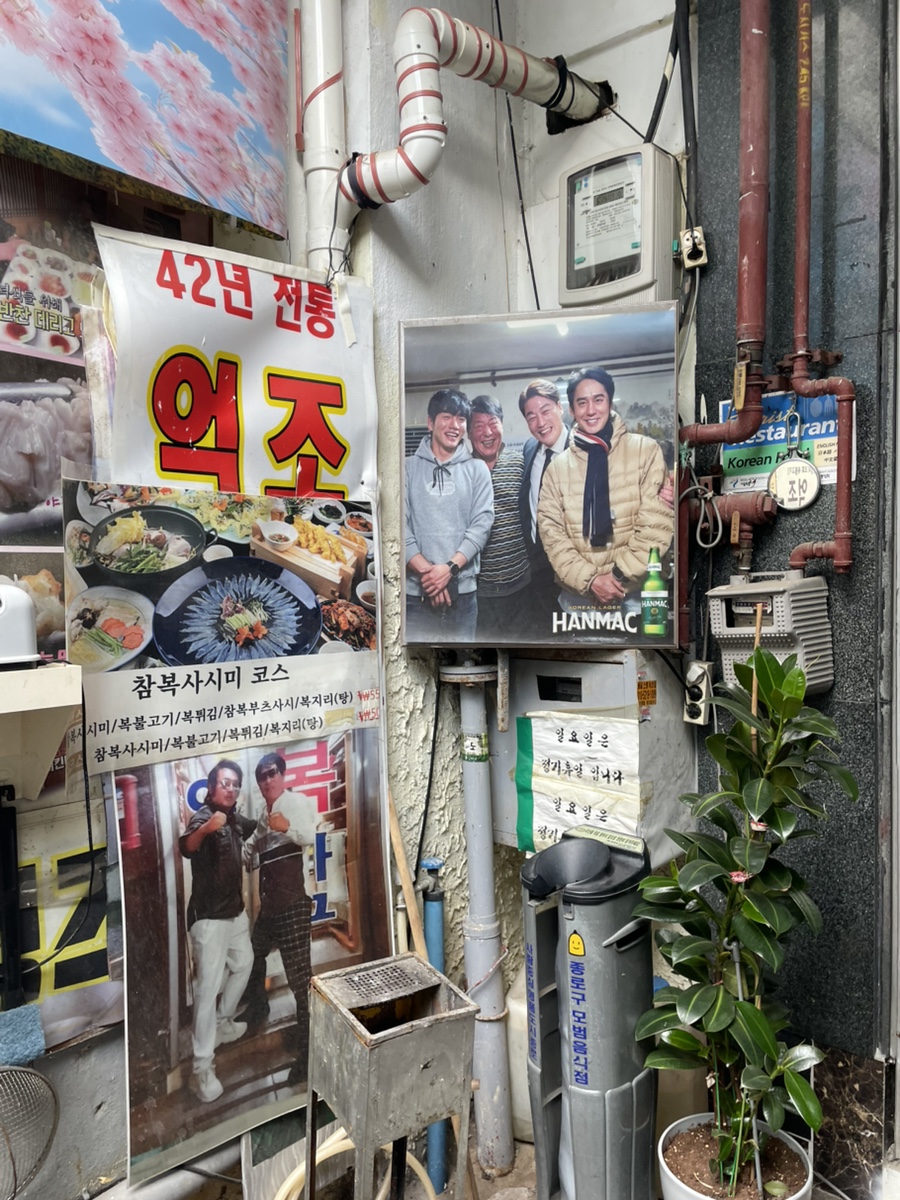 억조 사진 4