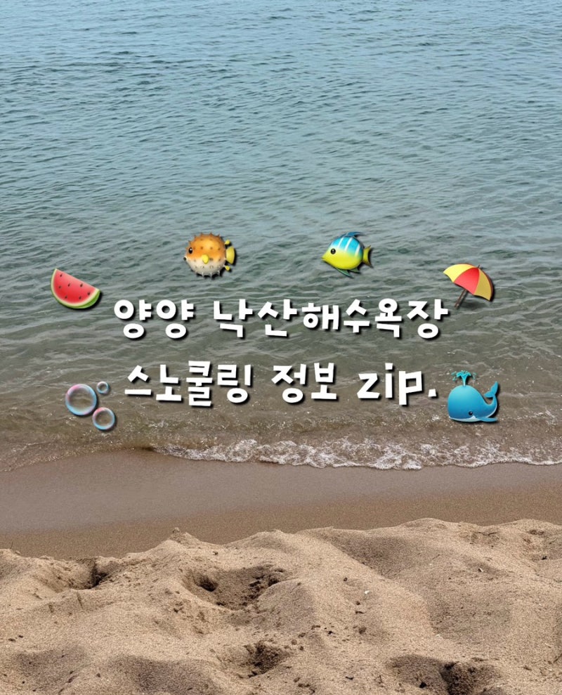 강원도 양양 스노쿨링 스팟 “ 낙산해수욕장 총정리” 주차 샤워장 파라솔 대여