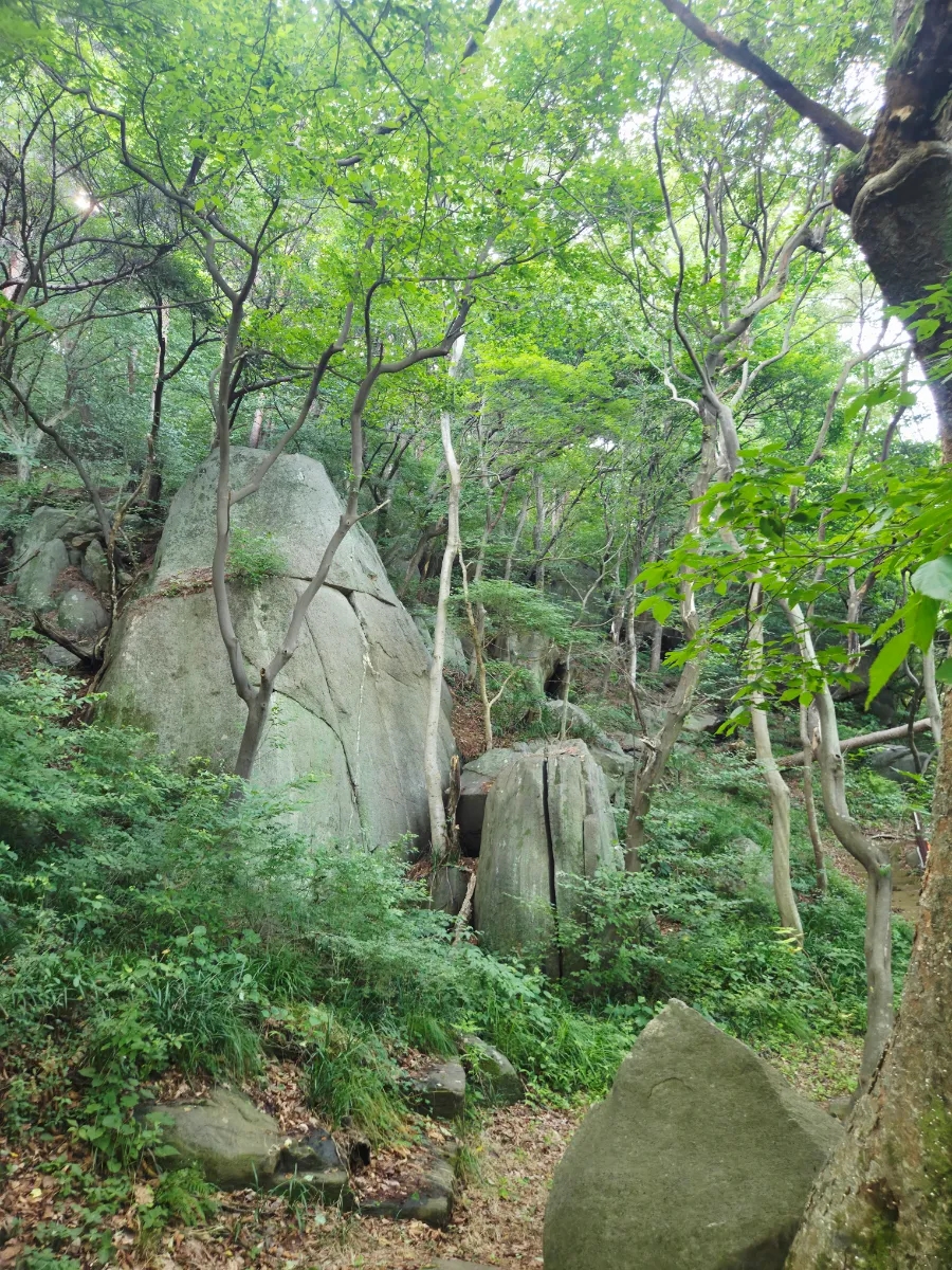 냉면만허유 사진 1