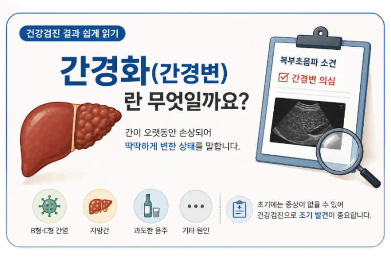 간경화(간경변)란 무엇일까요? 건강검진 결과 쉽게 읽기
