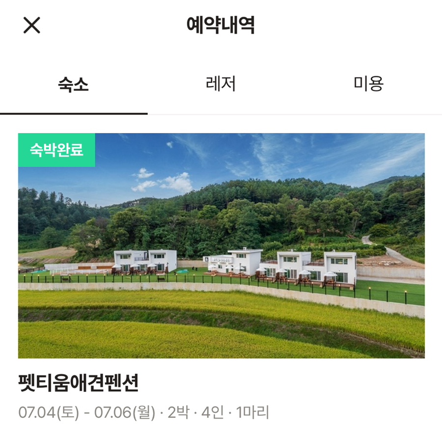 펫티움애견펜션 사진 2