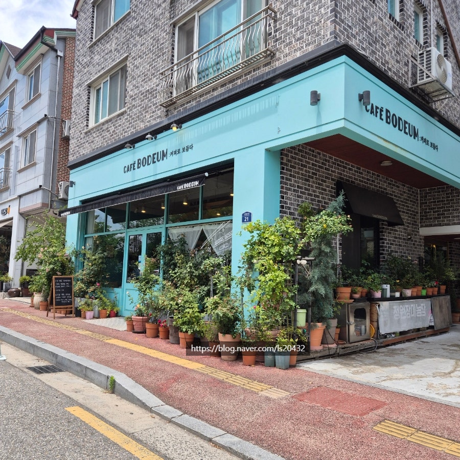 보듬 사진 1