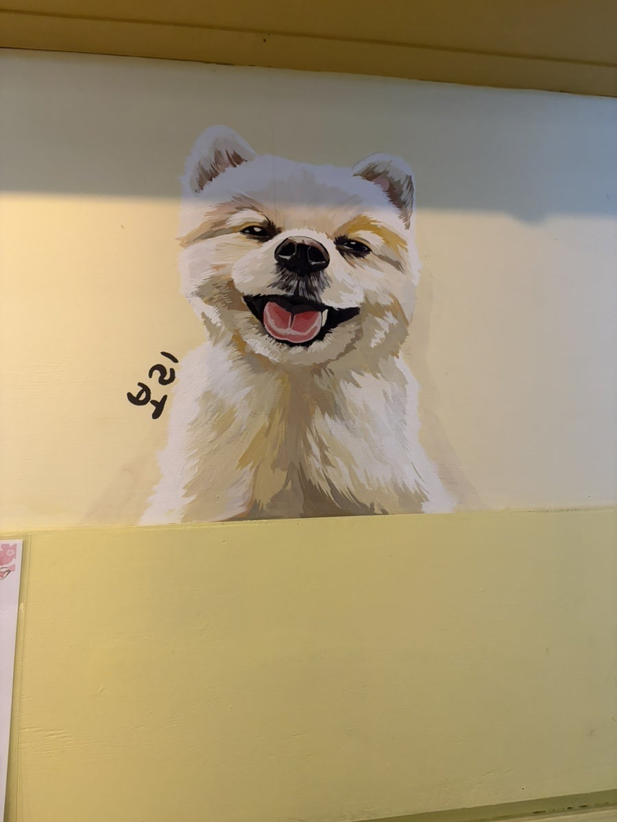 하리보초밥 사진 4