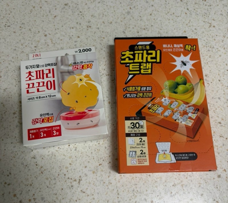 다이소 초파리 트랩 비교 추천 효과 사용법 후기