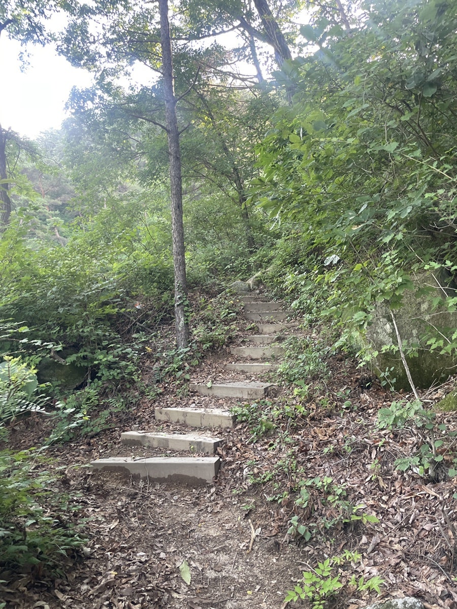 현성산 사진 3