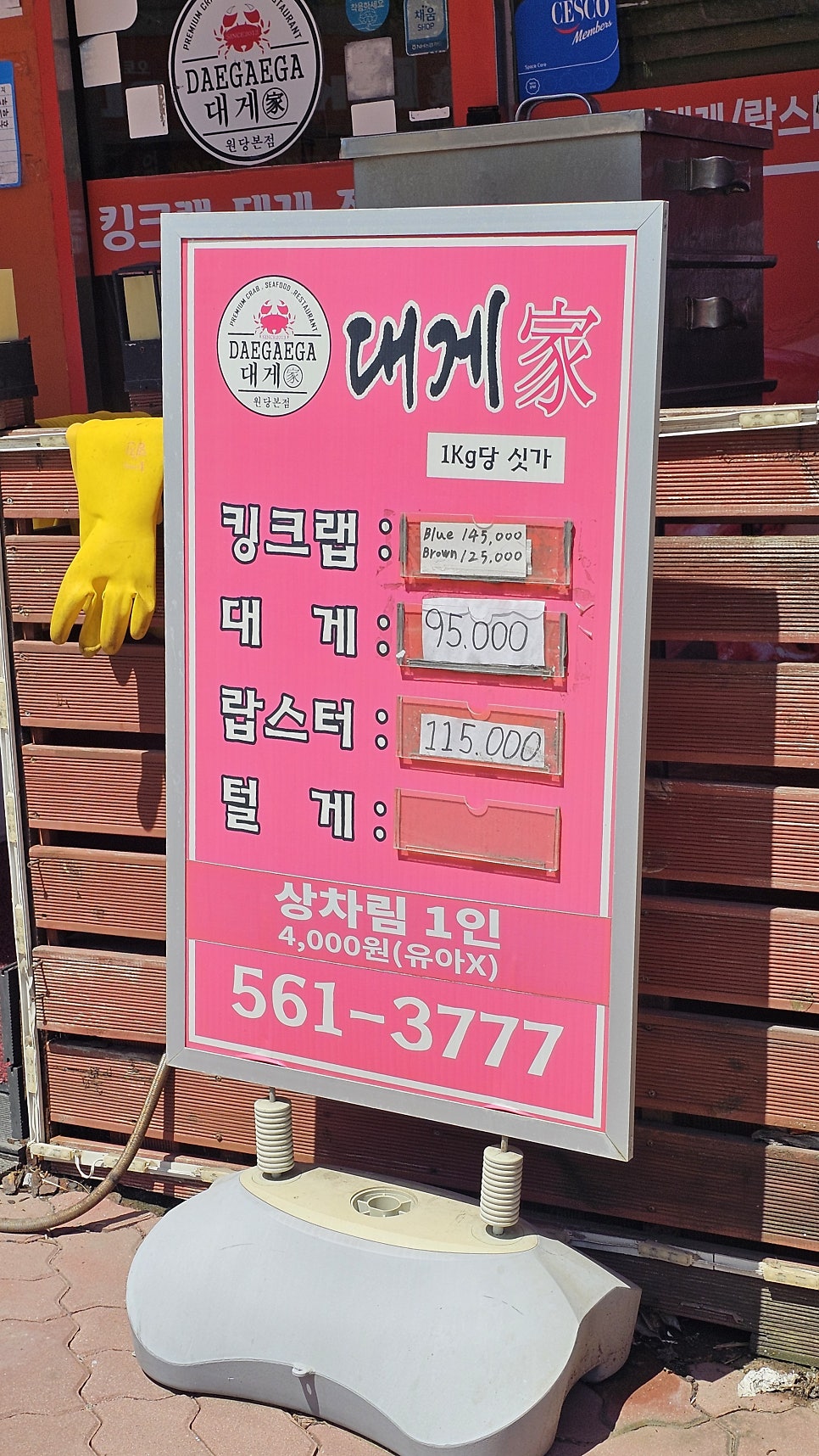 대게가 사진 5