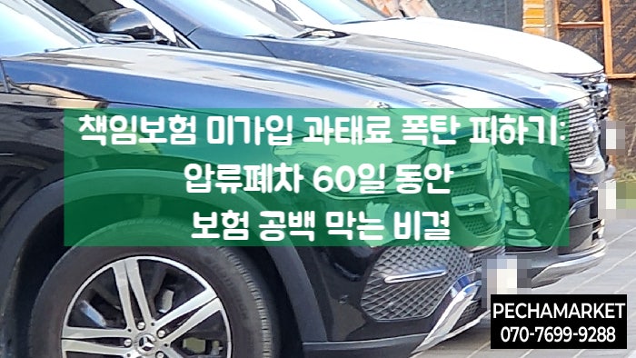 책임보험 미가입 과태료 폭탄 피하기: 압류폐차 60일 동안 보험 공백 막는 비결