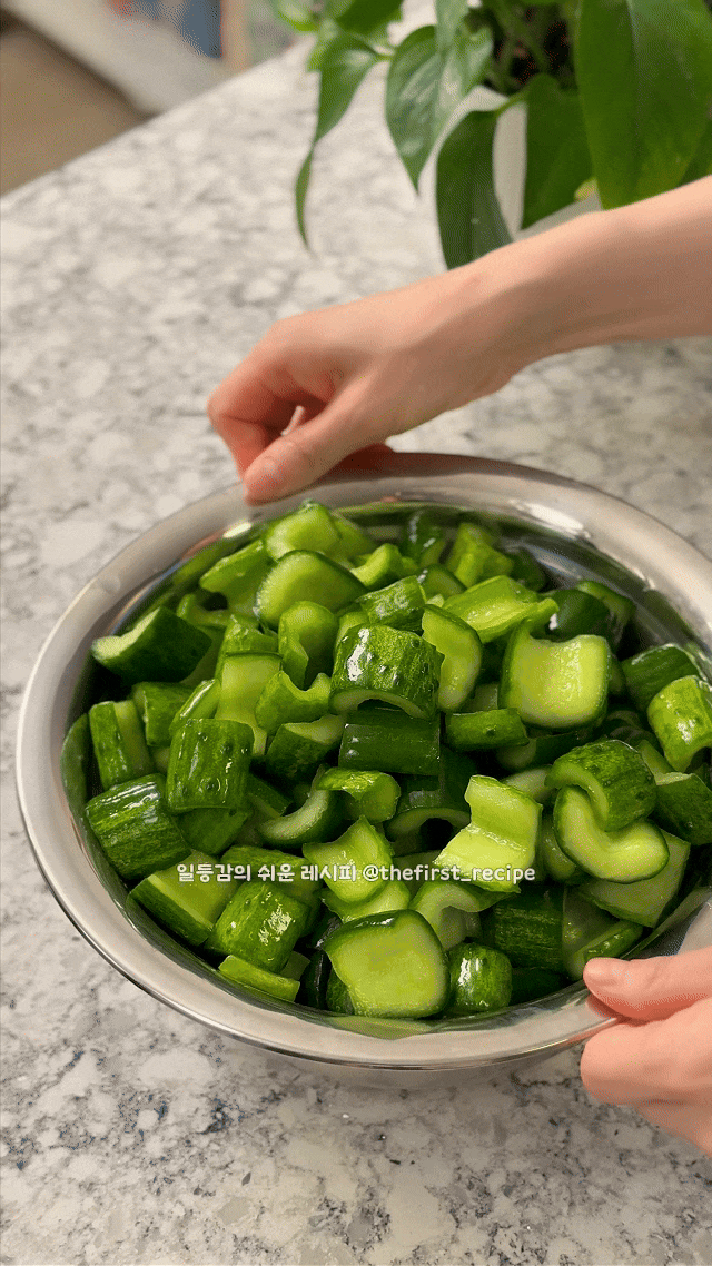 오이 양파장아찌 만드는 법! 다이어트 반찬 요리, 장아찌 간장 레시피