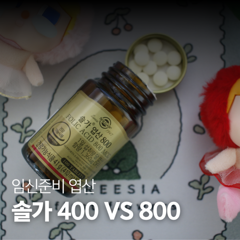 임신준비 영양제 솔가 엽산 400 800 차이 후기