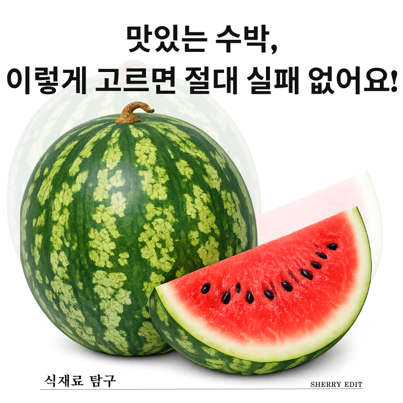 맛있는 수박 고르는 법! 실패 없는 꿀팁 4가지