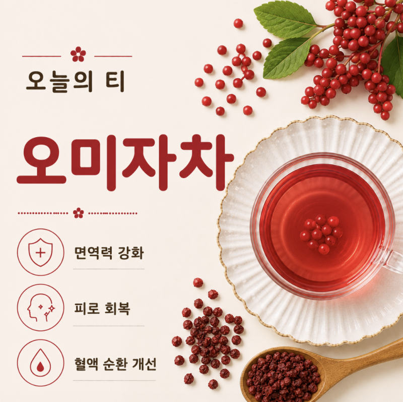오미자차 효능과 부작용, 다섯 가지 맛을 가진 열매 몸에 좋을까? [오늘의 티]