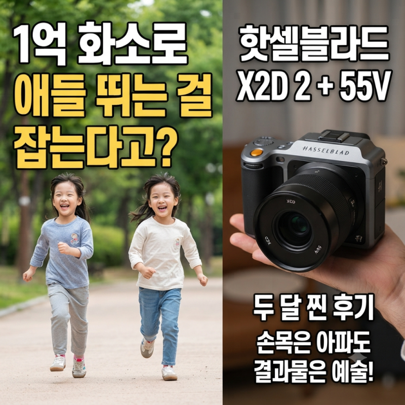 1억 화소로 애들 뛰는 걸 잡는다고? 핫셀블라드 X2D 2 + 55V 두 달 찐 후기