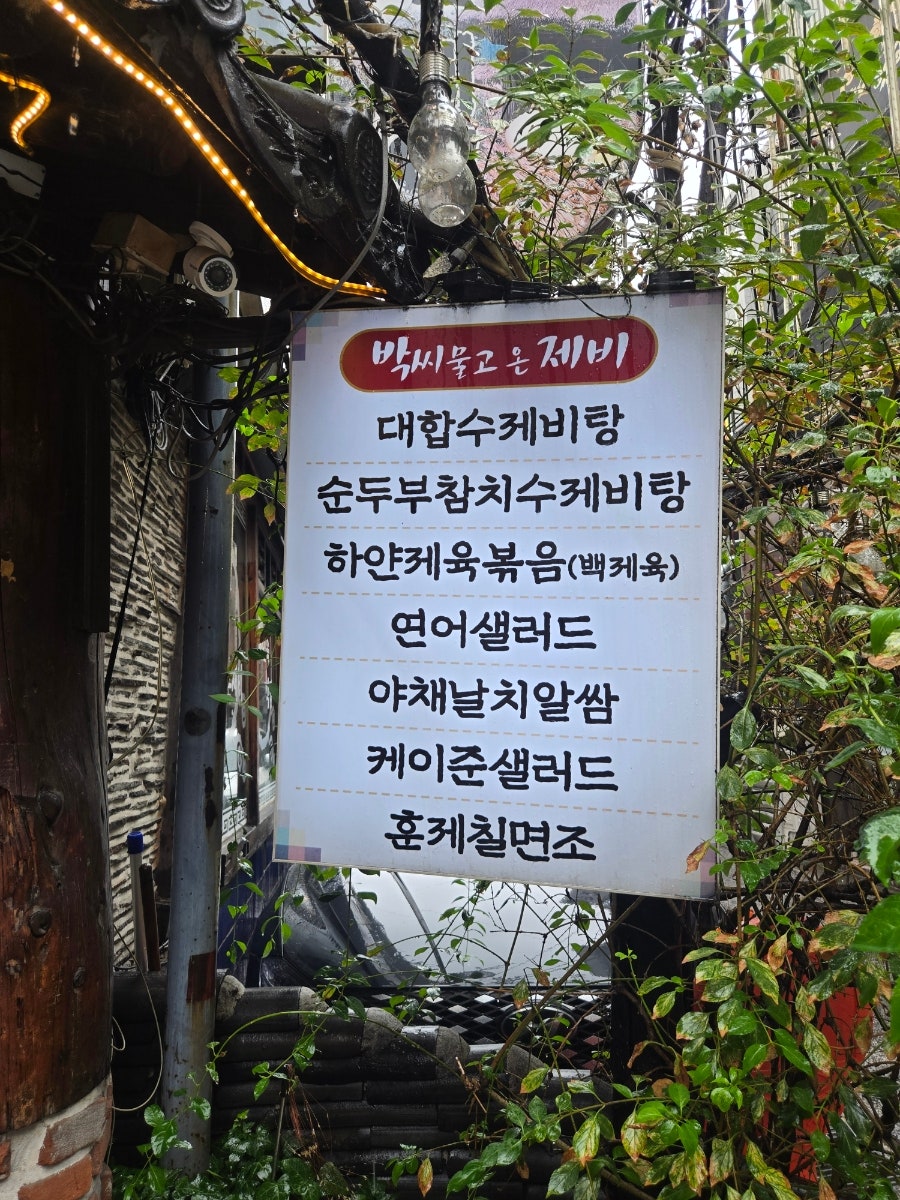 박씨물고온제비 사진 4