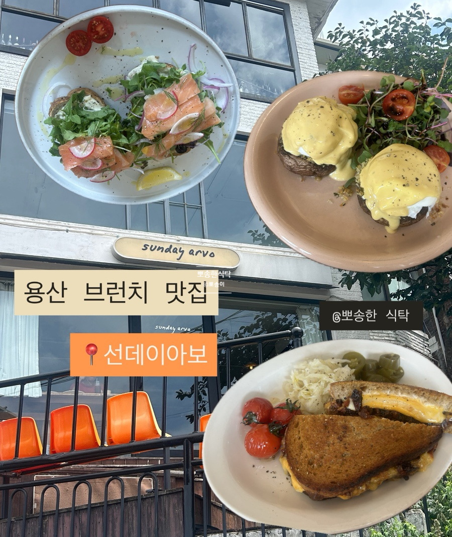 선데이아보 사진 1