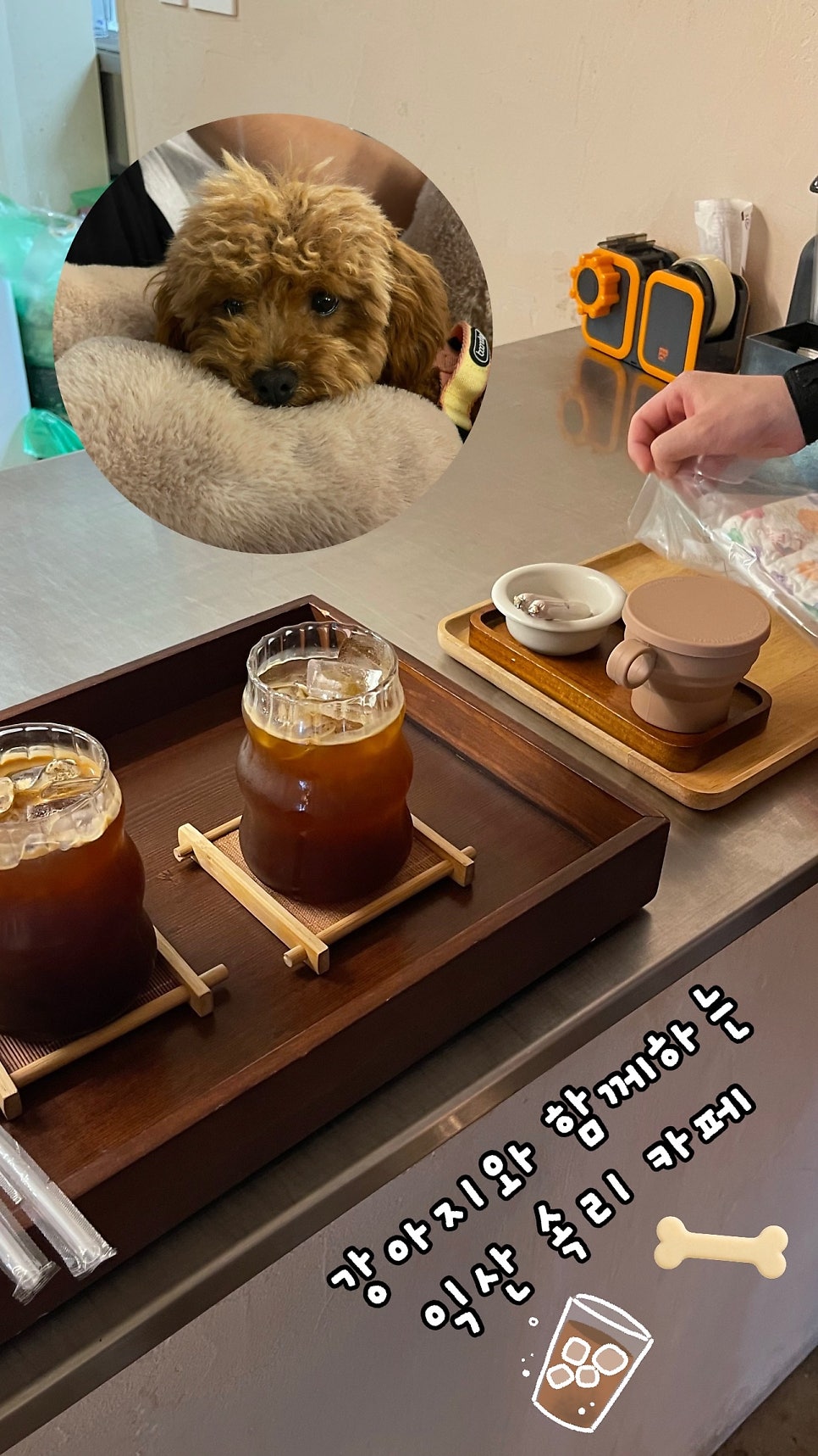 카페속리 사진 1