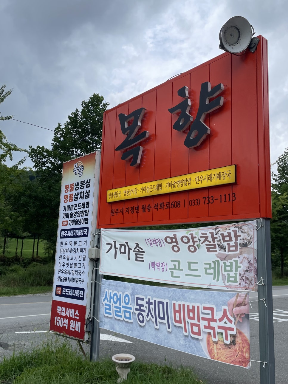 목향 사진 1