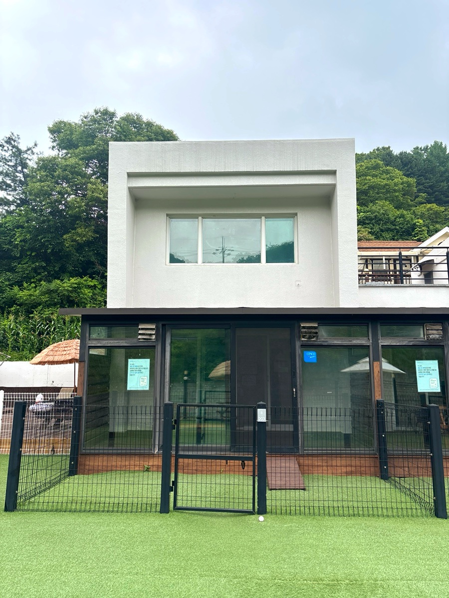 펫티움애견펜션 사진 1