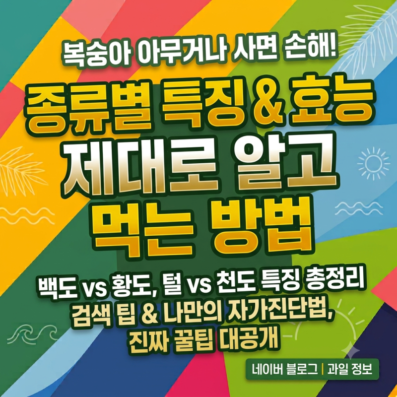 복숭아 아무거나 사면 손해! 종류별 특징과 효능 제대로 알고 먹는 방법